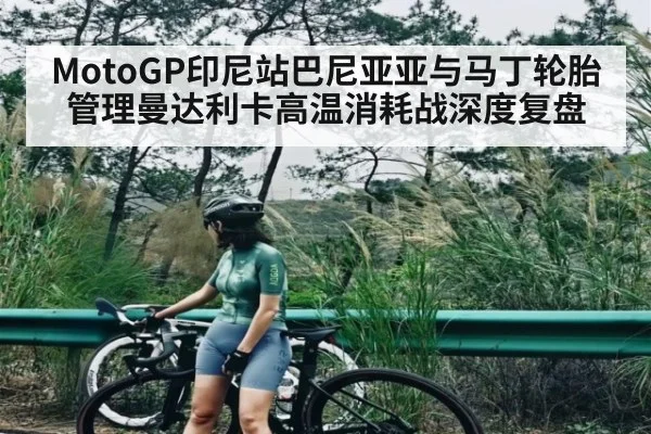 MotoGP印尼站巴尼亚亚与马丁轮胎管理曼达利卡高温消耗战深度复盘
